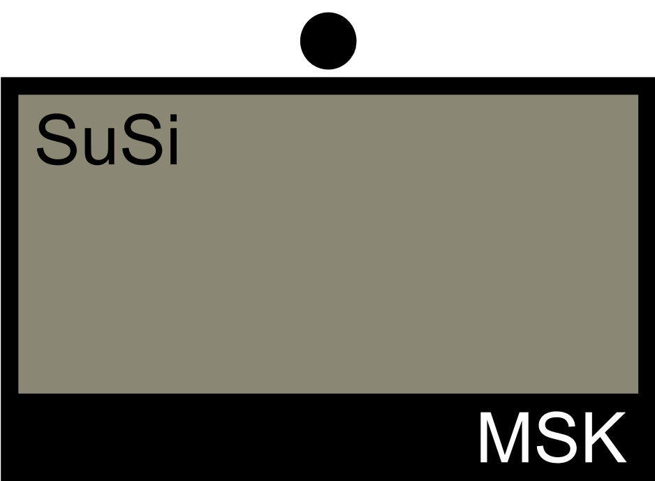 MSK Logistiktrupp Schutzkommando MSK Einheit Logistik Trupp